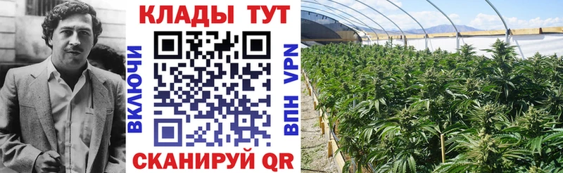 Виды наркоты Биробиджан OMG как зайти МЕФ ГАШИШ