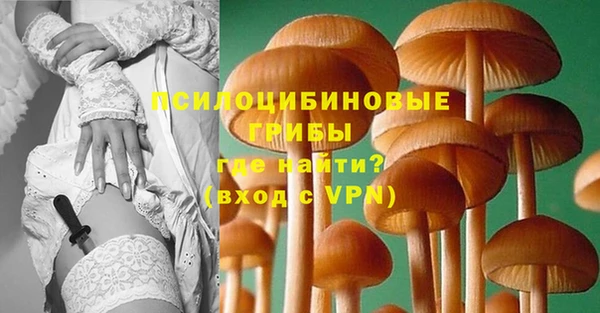 каннабис Новокубанск