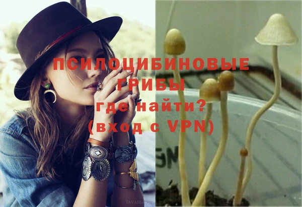 марихуана Новозыбков