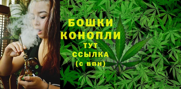 каннабис Новокубанск