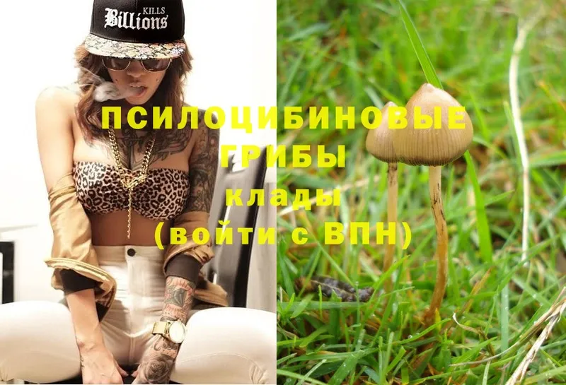 Псилоцибиновые грибы Magic Shrooms  Биробиджан 