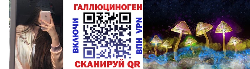 Псилоцибиновые грибы Cubensis  KRAKEN зеркало  Биробиджан 
