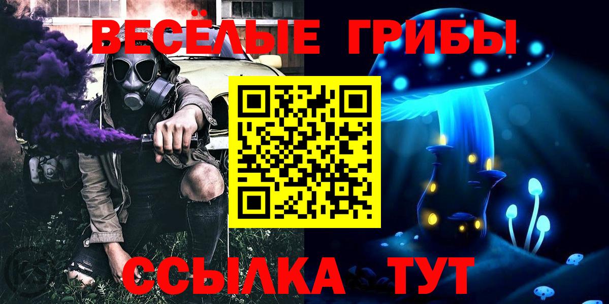 Галлюциногенные грибы Psilocybine cubensis  купить наркотики сайты  Биробиджан  Вход с VPN 
