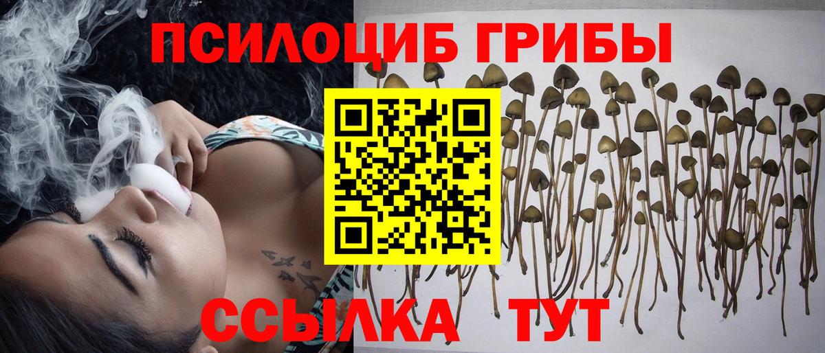 Галлюциногенные грибы ЛСД Биробиджан